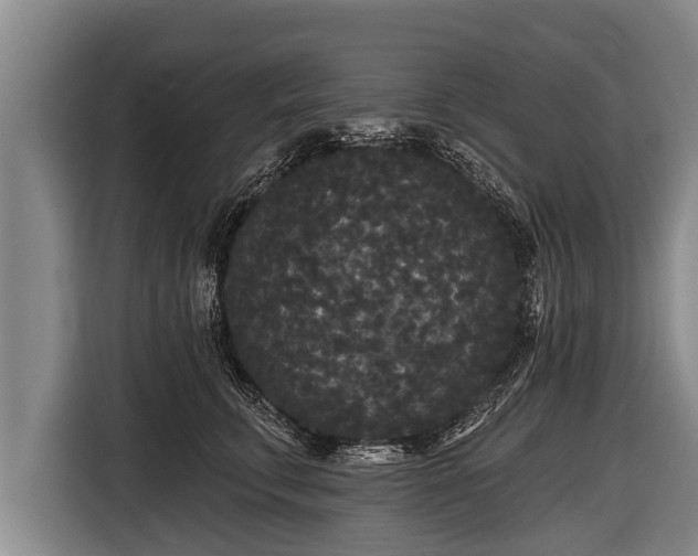 X0000116850711200912291240