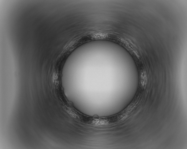 X0000116850714200912291240