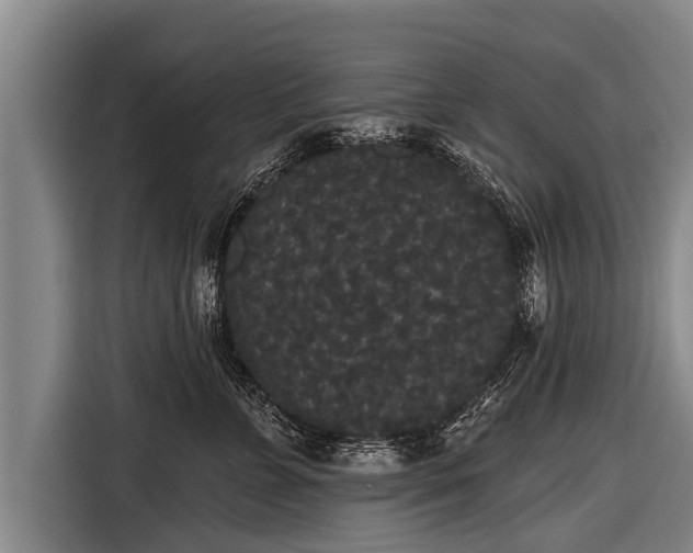 X0000116850715200912291240