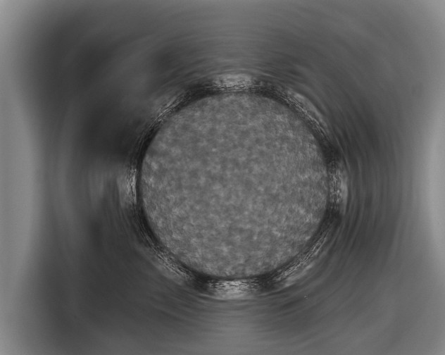 X0000116850717200912291240