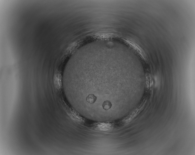 X0000116850718200912291240