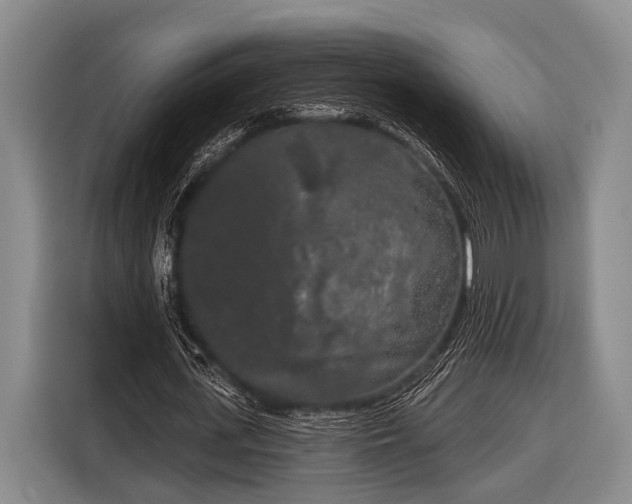 X0000116850723200912291239