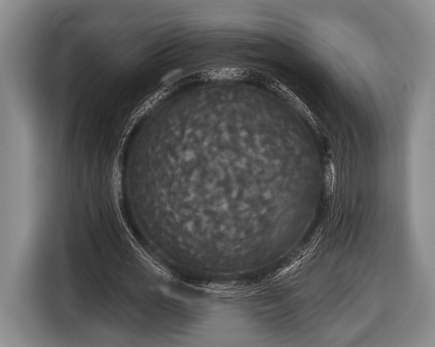 X0000116850725200912291239