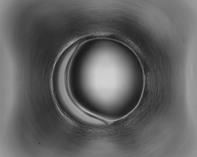 X0000116850726200912291239