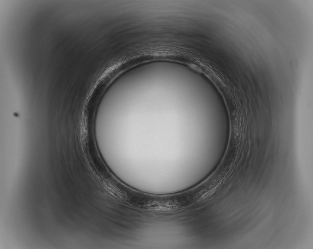 X0000116850727200912291239