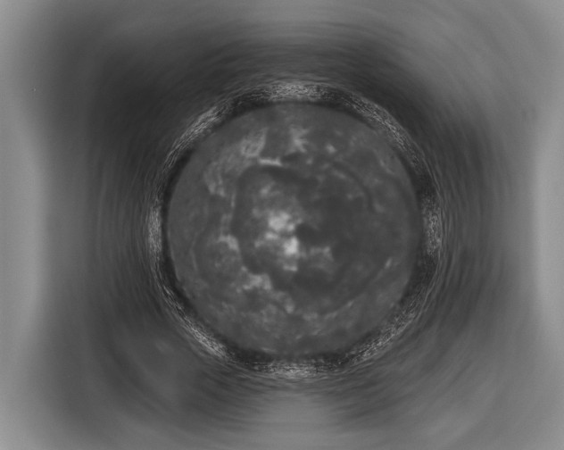X0000116850729200912291239