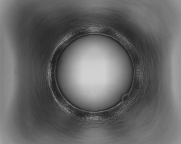 X0000116850730200912291239