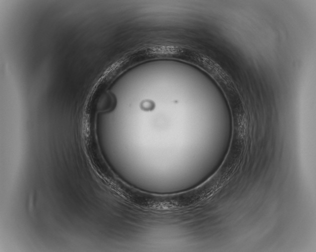 X0000116850731200912291239