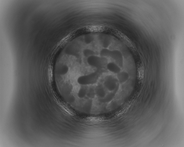 X0000116850733200912291239