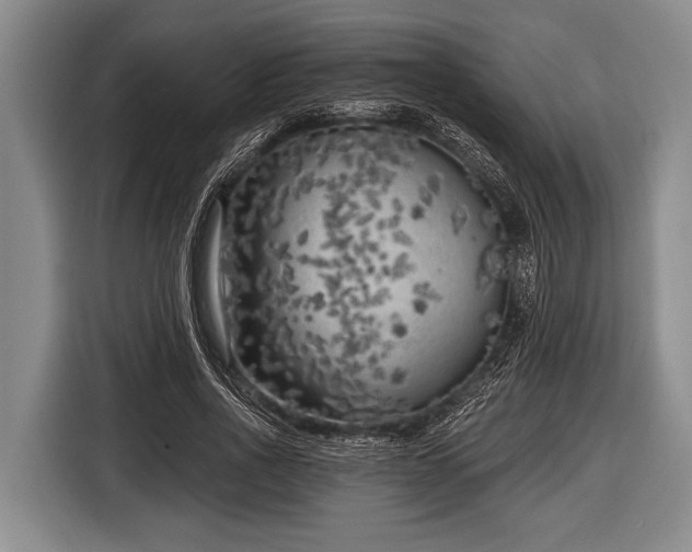 X0000116850734200912291239
