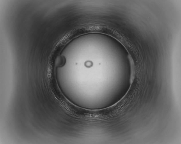 X0000116850735200912291239