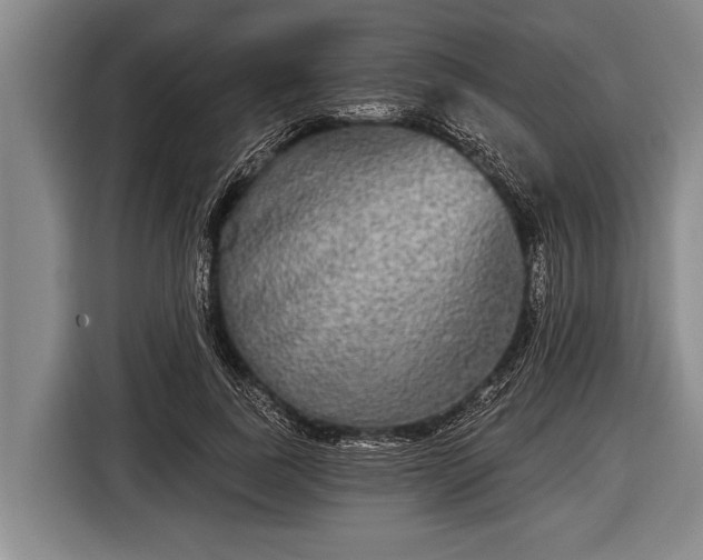 X0000116850739200912291239