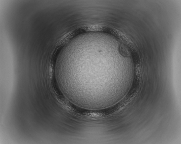 X0000116850741200912291239