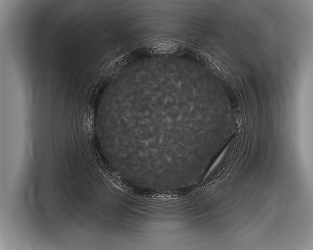 X0000116850745200912291240