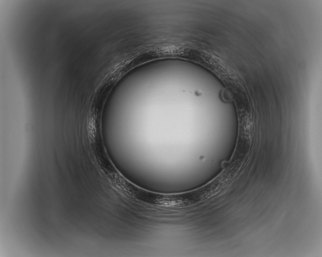 X0000116850746200912291240