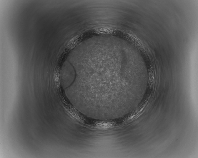 X0000116850749200912291240