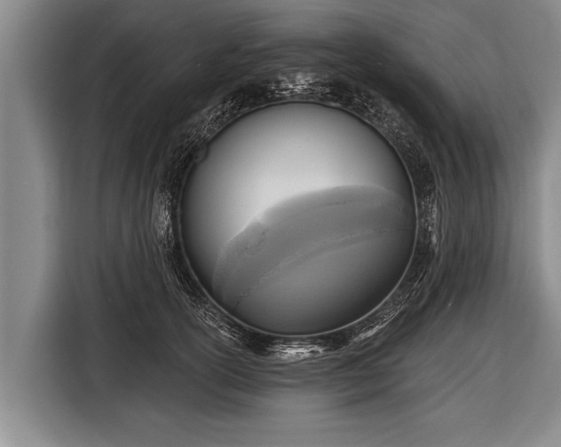 X0000116850754200912291240