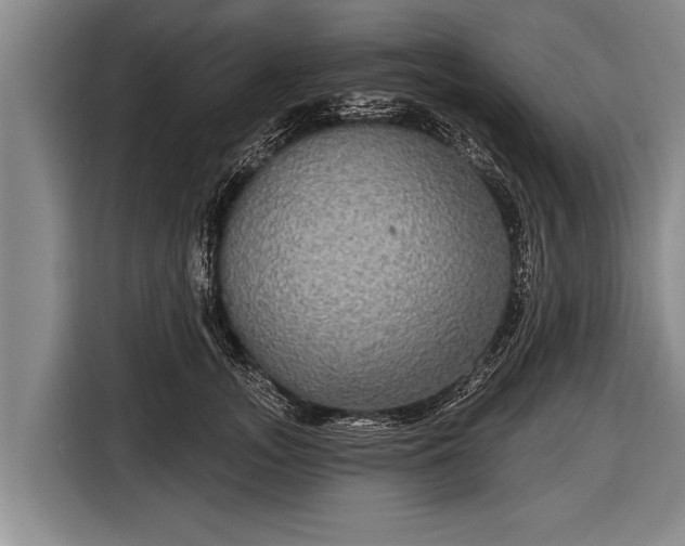 X0000116850755200912291240