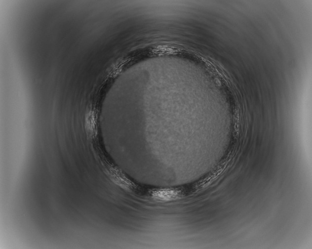 X0000116850759200912291240