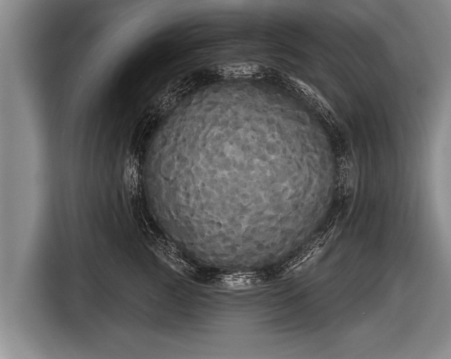 X0000116850761200912291240