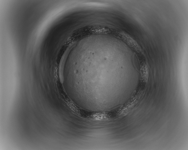 X0000116850762200912291240