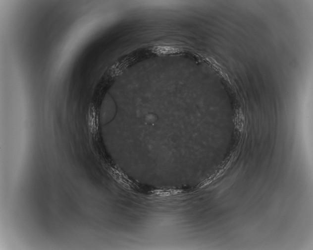 X0000116850763200912291240