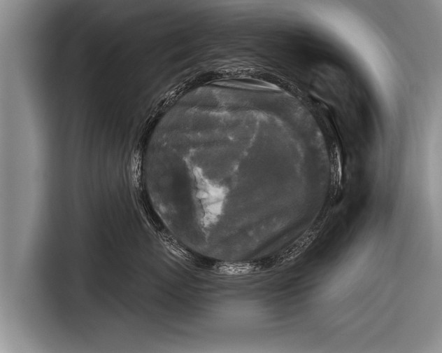 X0000116850767200912291240