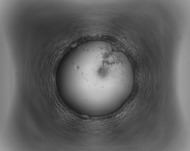 X0000116850769200912291239