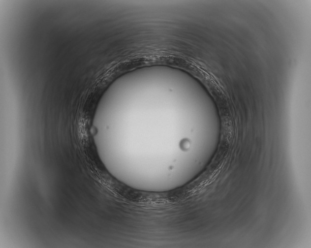 X0000116850770200912291239