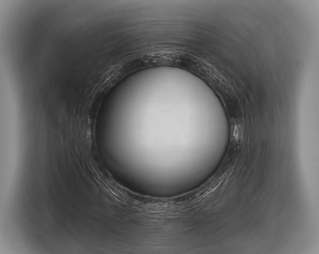 X0000116850771200912291239