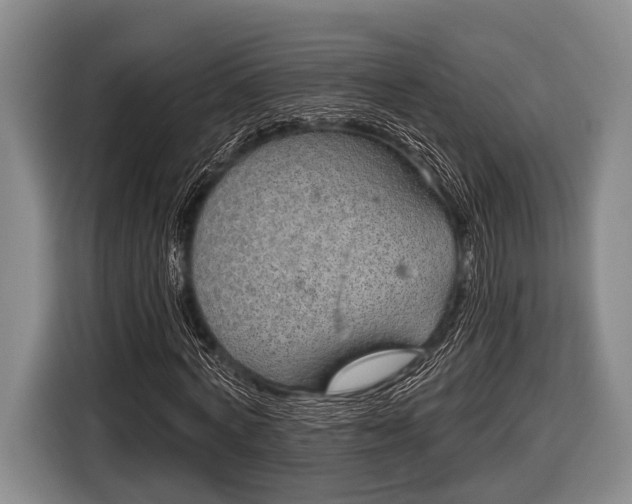 X0000116850772200912291239