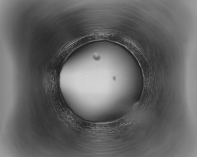 X0000116850773200912291239