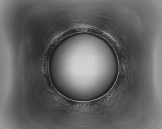 X0000116850775200912291239