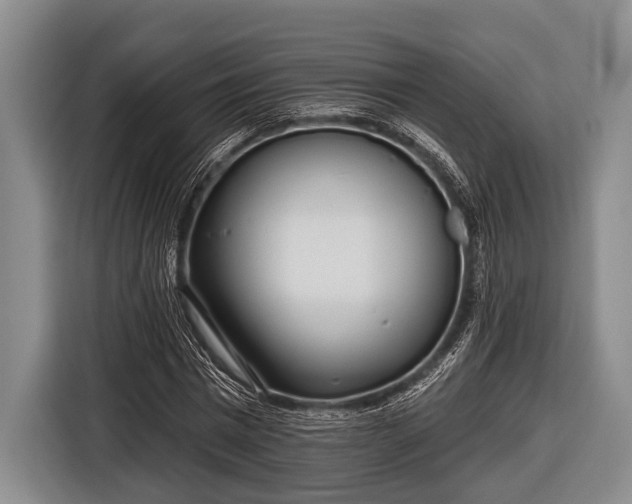 X0000116850777200912291239