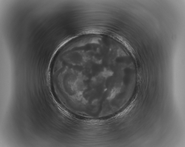 X0000116850779200912291239