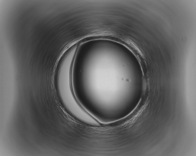 X0000116850781200912291239