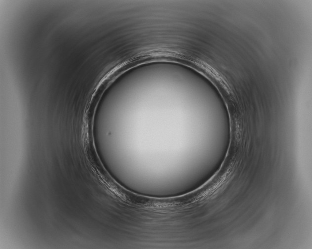 X0000116850782200912291239