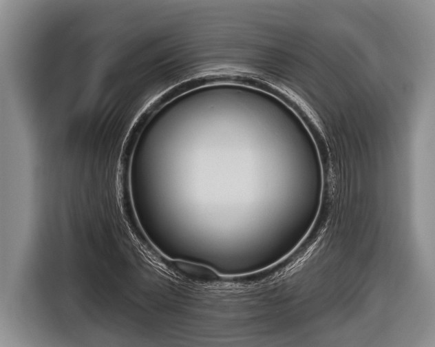 X0000116850783200912291239