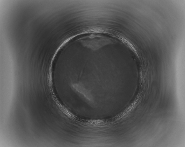 X0000116850784200912291239