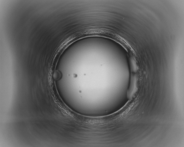 X0000116850786200912291239