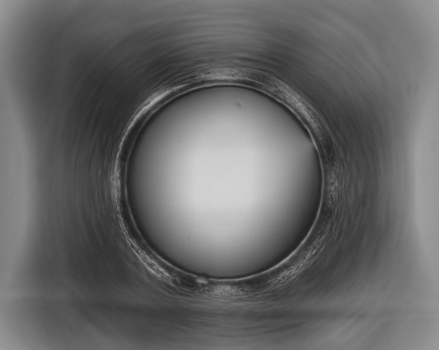 X0000116850787200912291239