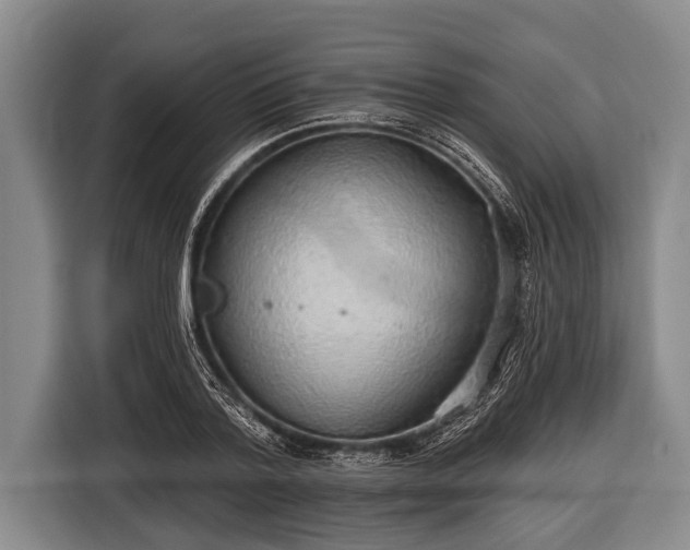 X0000116850788200912291239