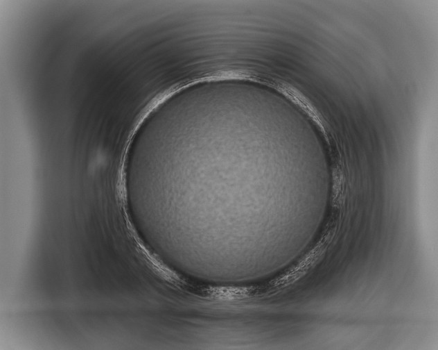 X0000116850789200912291239