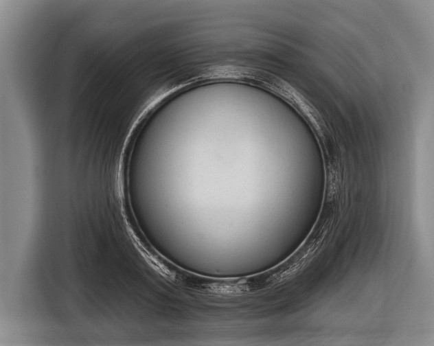 X0000116850795200912291239