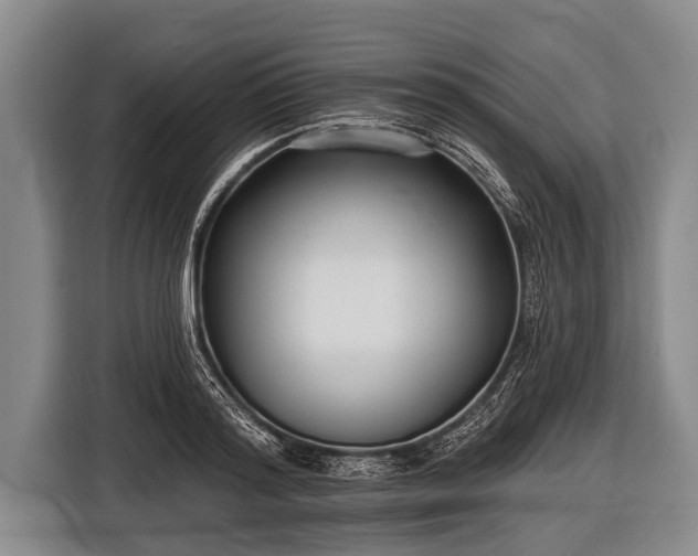 X0000116850796200912291239