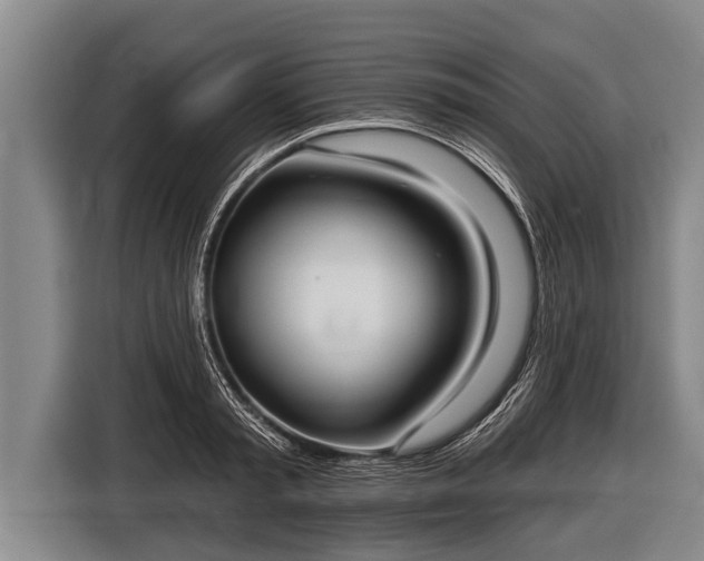 X0000116850797200912291239