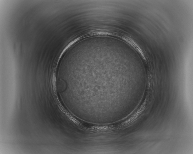 X0000116850798200912291239