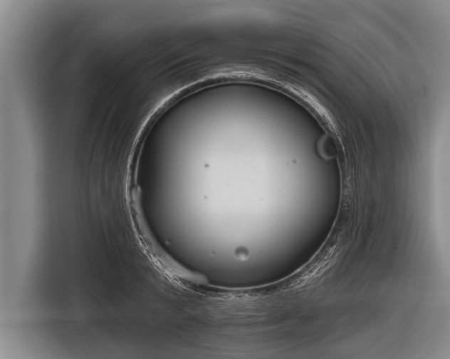 X0000116850799200912291239