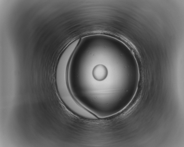 X0000116850801200912291239