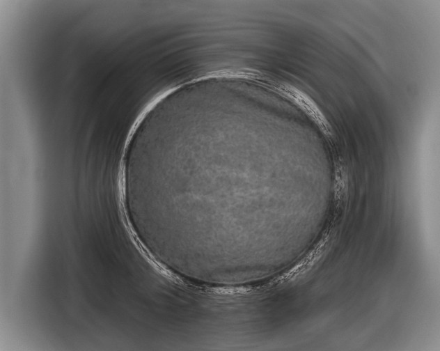 X0000116850804200912291239